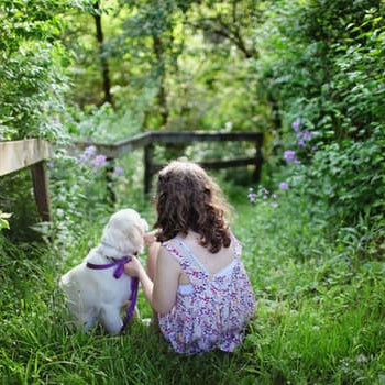 Finding the Perfect Dog for Children With Allergies