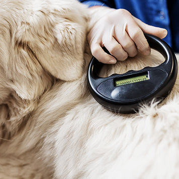 where to find a pet microchip scanner
