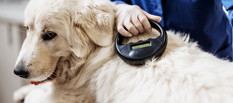 where to find a pet microchip scanner