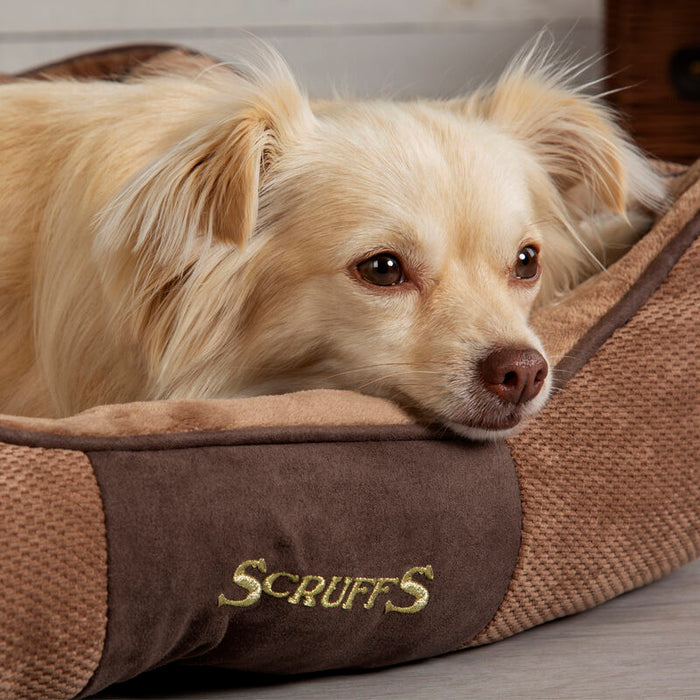 Chester Box Dog Bed - SmartBreeder.com