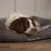 Cosy Soft-Walled Dog Bed - Grey - SmartBreeder.com