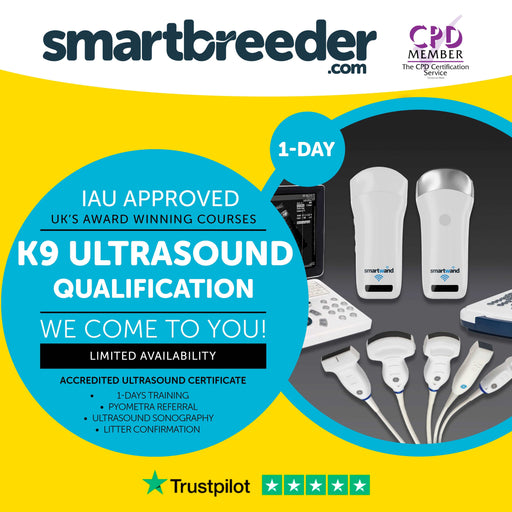 Animal Ultrasound Course - CPD Certified Qualification - SmartBreeder.com