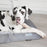 Cool Dog Bed - SmartBreeder.com