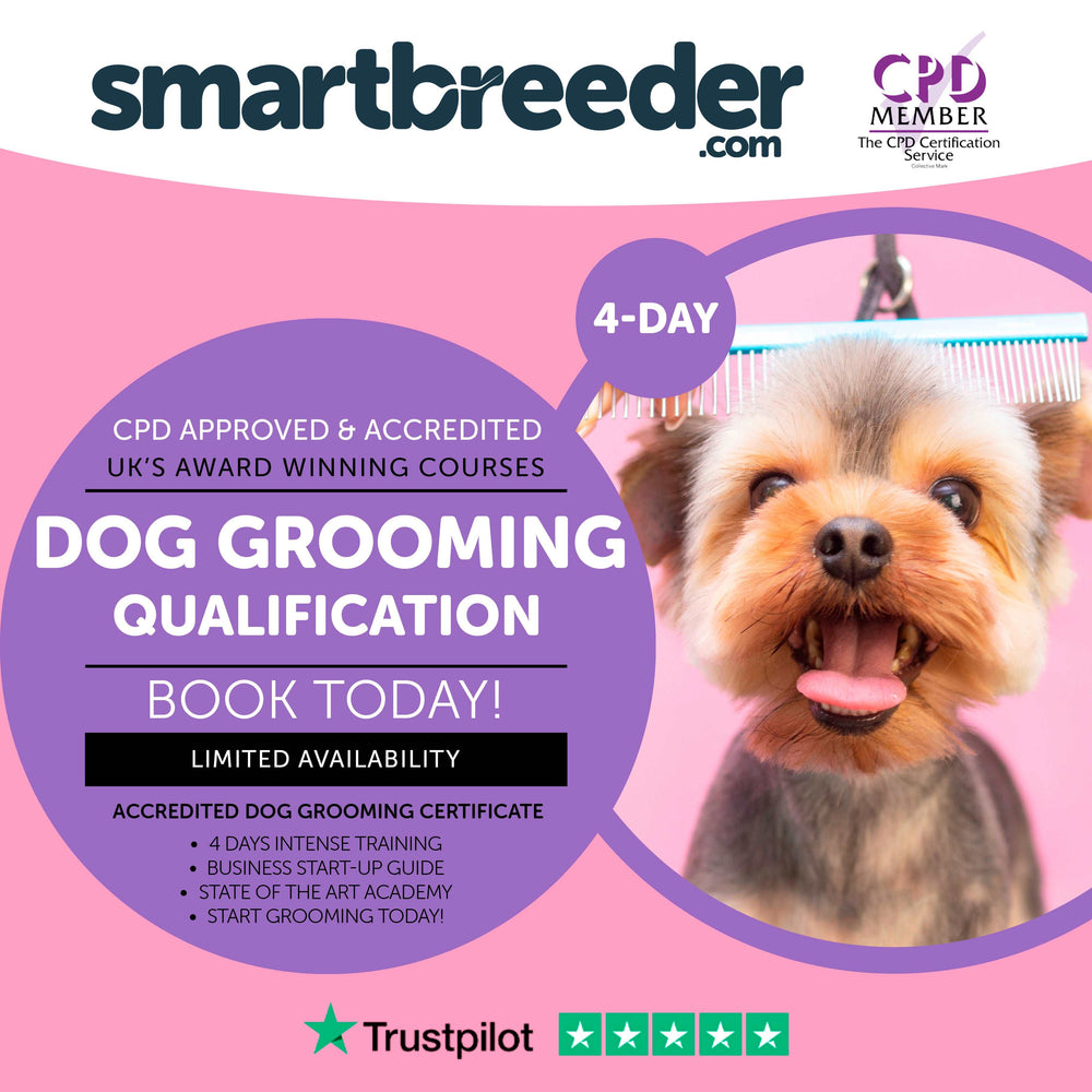 Dog Grooming Course - CPD Certified Qualification - SmartBreeder.com