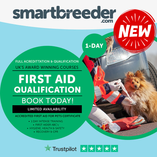 First Aid For Dogs & Cats Qualification - SmartBreeder.com