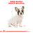 ROYAL CANIN® French Bulldog Puppy - SmartBreeder.com