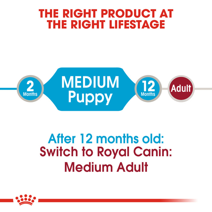 ROYAL CANIN® Medium Puppy in Gravy Wet Food - SmartBreeder.com