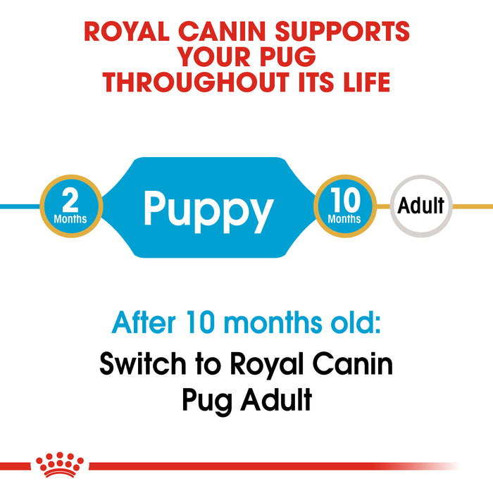 ROYAL CANIN® Pug Puppy 1.5kg - SmartBreeder.com
