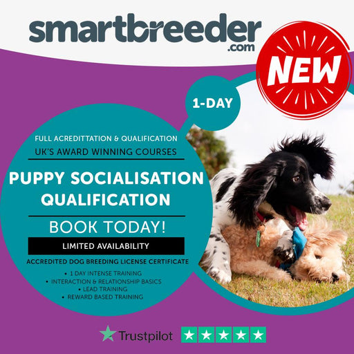 Puppy Socialisation - SmartBreeder.com