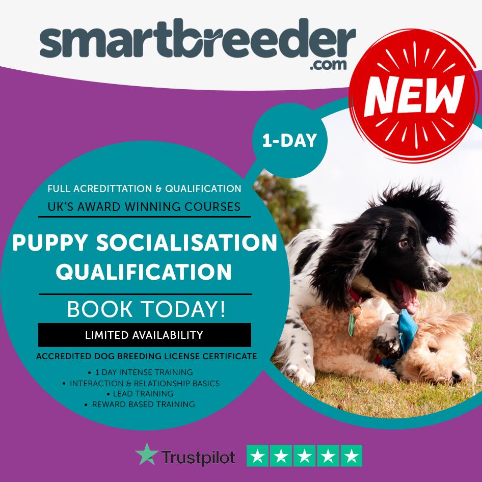 Online Puppy Socialisation Course - SmartBreeder.com